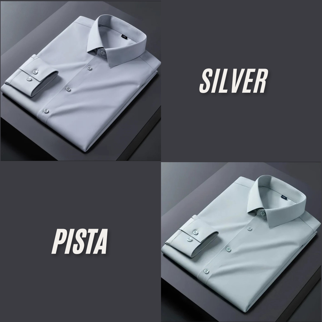 Pack of 2 Premium Cotton Solid Shirt for Man (Silver, Pista)