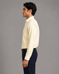 Lemon Stripe Oxford Shirt For Men