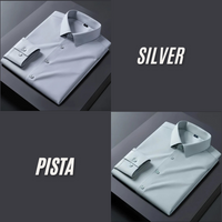Pack of 2 Premium Cotton Solid Shirt for Man (Silver, Pista)